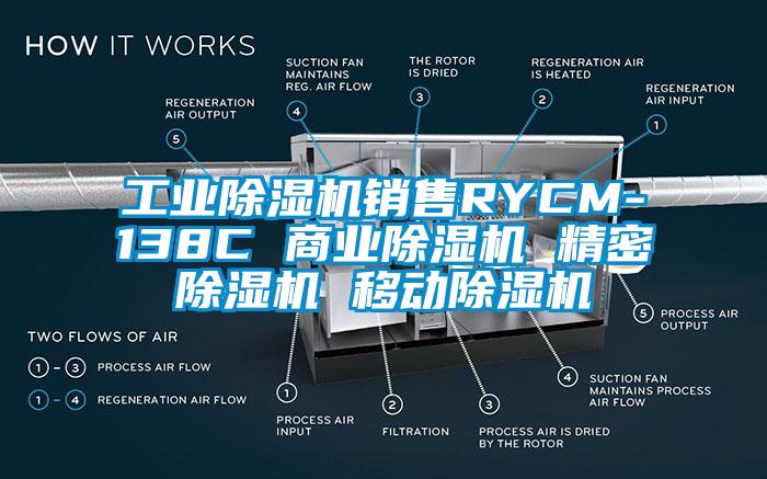 工業(yè)除濕機銷售RYCM-138C 商業(yè)除濕機 精密除濕機 移動除濕機