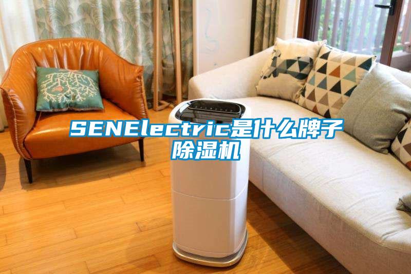 SENElectric是什么牌子除濕機(jī)