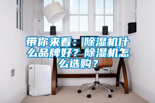 帶你來看：除濕機什么品牌好？除濕機怎么選購？