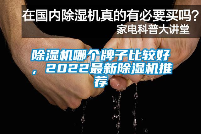 除濕機哪個牌子比較好，2022最新除濕機推薦