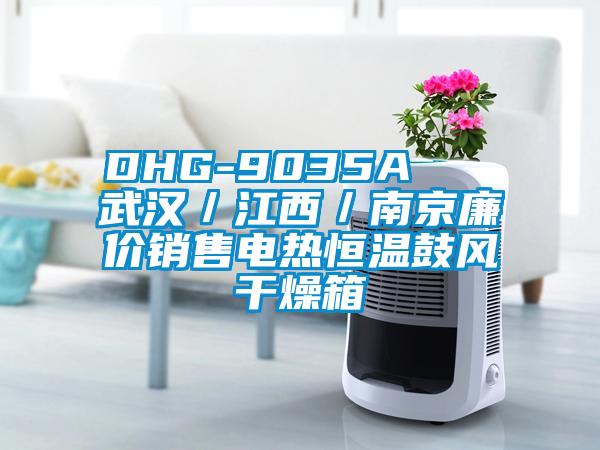 DHG-9035A   武漢／江西／南京廉價銷售電熱恒溫鼓風(fēng)干燥箱