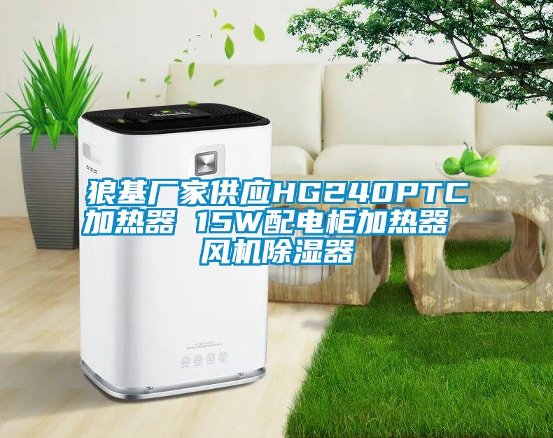 狼基廠家供應(yīng)HG240PTC加熱器 15W配電柜加熱器 風(fēng)機除濕器