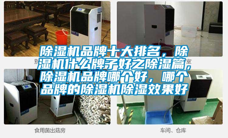 除濕機品牌十大排名，除濕機什么牌子好之除濕篇，除濕機品牌哪個好，哪個品牌的除濕機除濕效果好