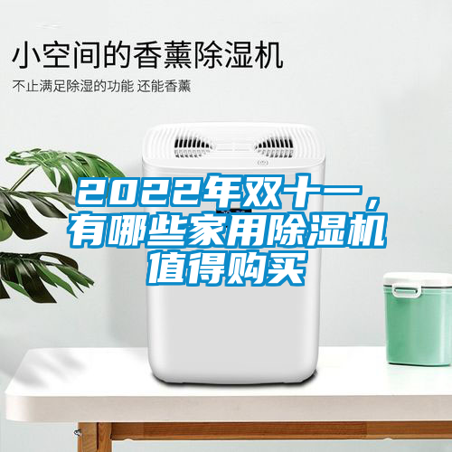 2022年雙十一，有哪些家用除濕機值得購買