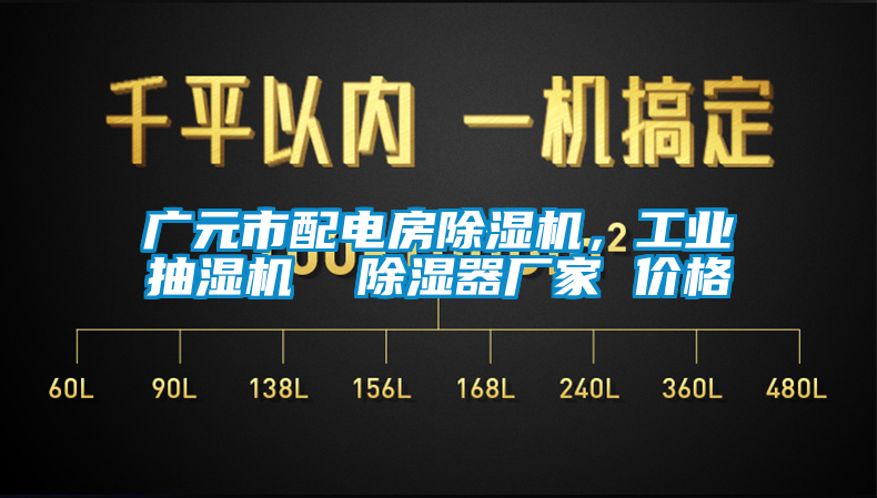 廣元市配電房除濕機(jī)，工業(yè)抽濕機(jī)  除濕器廠家 價格