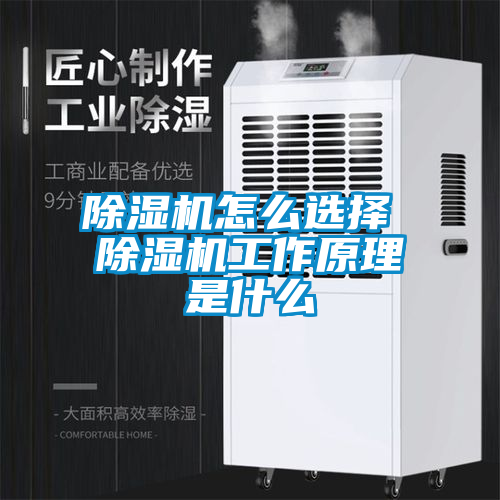 除濕機怎么選擇 除濕機工作原理是什么