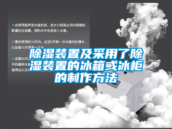 除濕裝置及采用了除濕裝置的冰箱或冰柜的制作方法