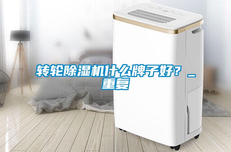 轉輪除濕機什么牌子好？_重復