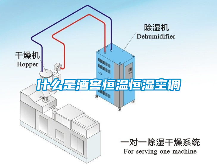 什么是酒窖恒溫恒濕空調(diào)