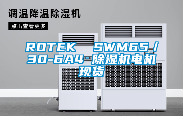 ROTEK  SWM65／30-6A4 除濕機(jī)電機(jī)現(xiàn)貨