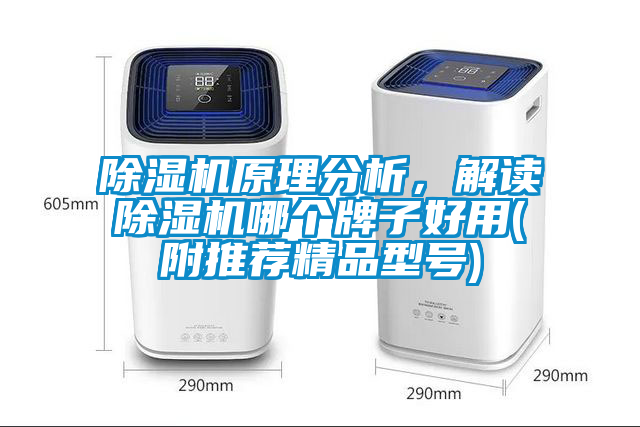 除濕機原理分析，解讀除濕機哪個牌子好用(附推薦精品型號)