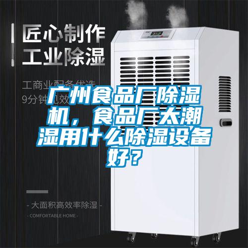 廣州食品廠除濕機，食品廠太潮濕用什么除濕設備好？