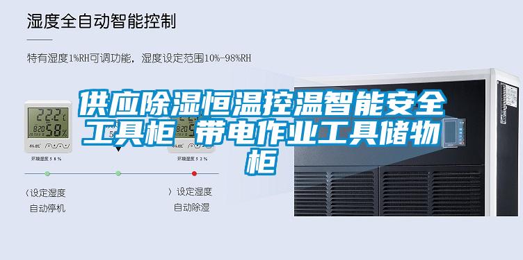 供應除濕恒溫控溫智能安全工具柜 帶電作業(yè)工具儲物柜