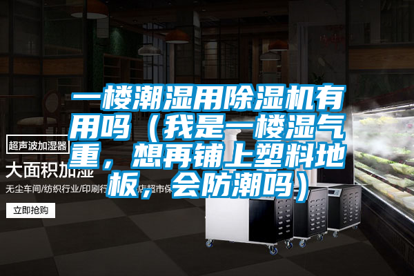 一樓潮濕用除濕機有用嗎（我是一樓濕氣重，想再鋪上塑料地板，會防潮嗎）