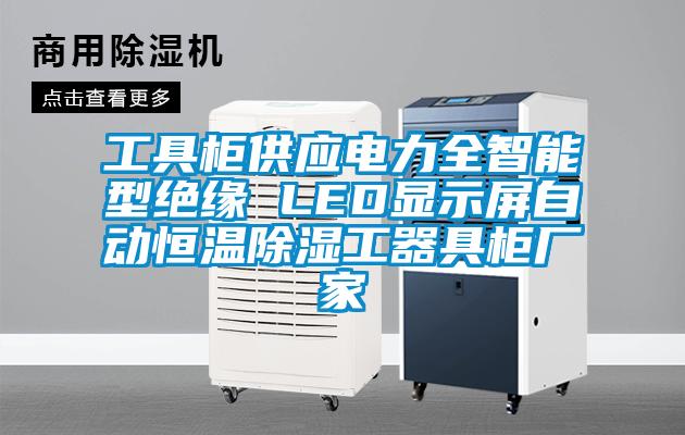 工具柜供應(yīng)電力全智能型絕緣 LED顯示屏自動(dòng)恒溫除濕工器具柜廠(chǎng)家