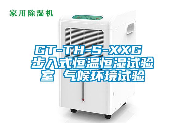 GT-TH-S-XXG 步入式恒溫恒濕試驗(yàn)室 氣候環(huán)境試驗(yàn)