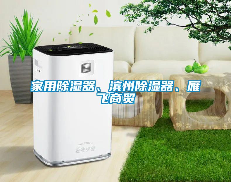 家用除濕器、濱州除濕器、雁飛商貿(mào)