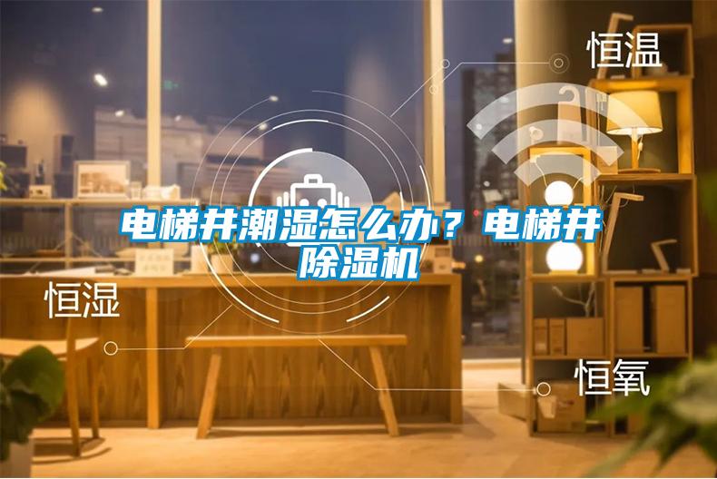 電梯井潮濕怎么辦？電梯井除濕機