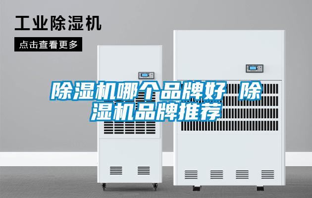 除濕機哪個品牌好 除濕機品牌推薦