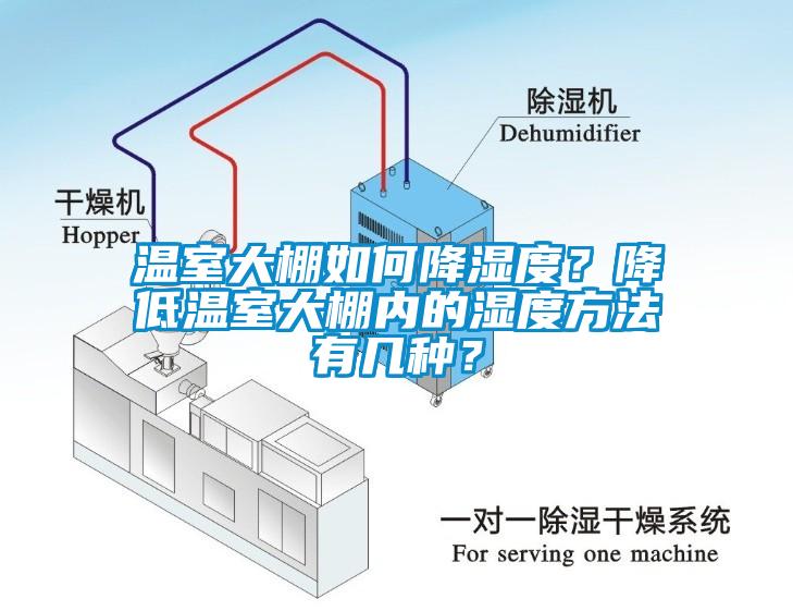 溫室大棚如何降濕度？降低溫室大棚內(nèi)的濕度方法有幾種？