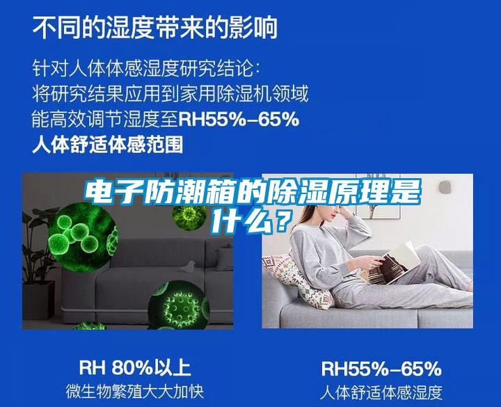 電子防潮箱的除濕原理是什么？