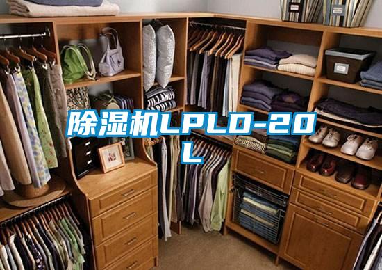 除濕機(jī)LPLD-20L