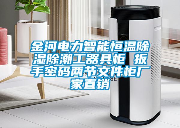 金河電力智能恒溫除濕除潮工器具柜 扳手密碼兩節(jié)文件柜廠家直銷