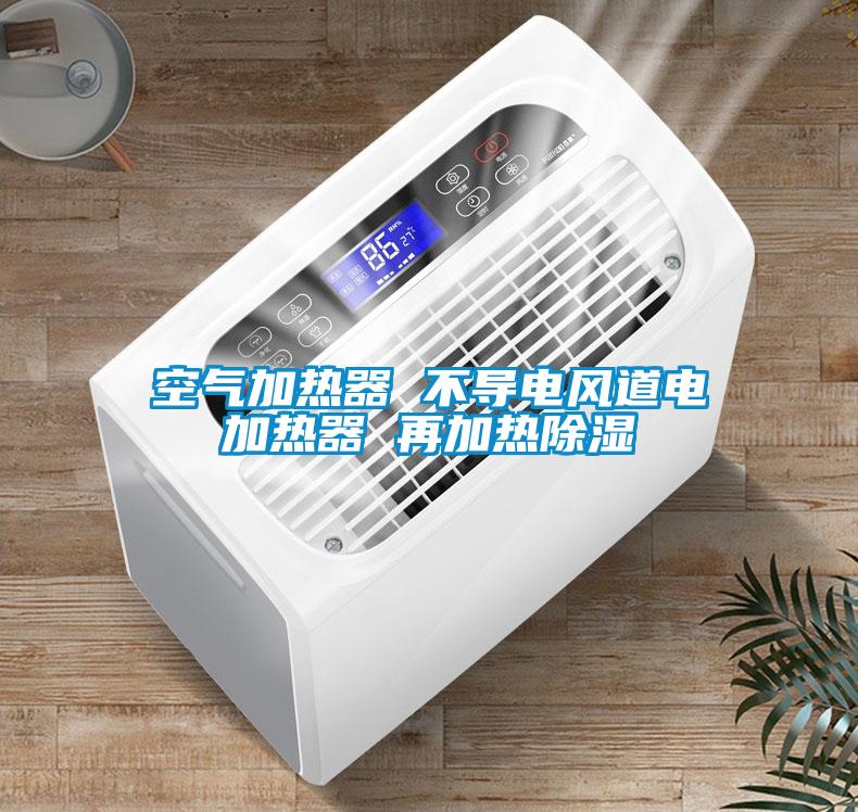 空氣加熱器 不導(dǎo)電風(fēng)道電加熱器 再加熱除濕