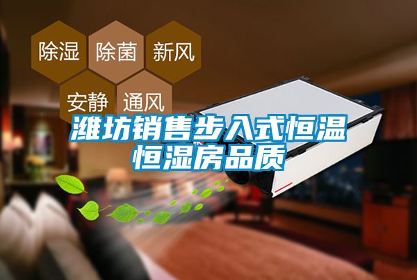 濰坊銷售步入式恒溫恒濕房品質(zhì)