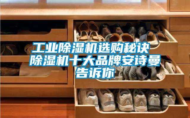 工業(yè)除濕機選購秘訣 除濕機十大品牌安詩曼告訴你