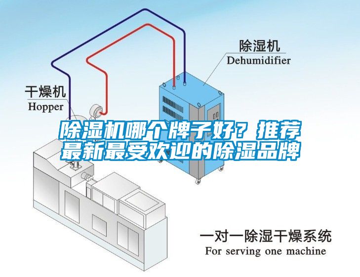 除濕機(jī)哪個(gè)牌子好？推薦最新最受歡迎的除濕品牌