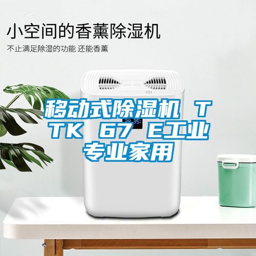 移動式除濕機(jī) TTK 67 E工業(yè)專業(yè)家用