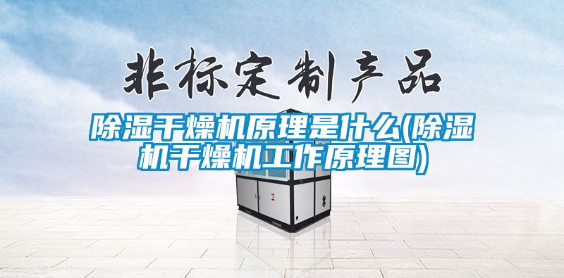 除濕干燥機原理是什么(除濕機干燥機工作原理圖)