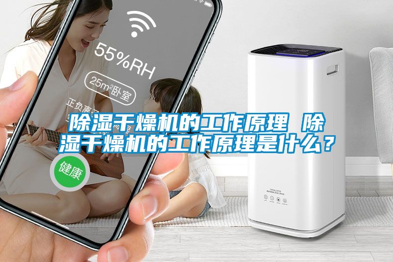 除濕干燥機的工作原理 除濕干燥機的工作原理是什么？