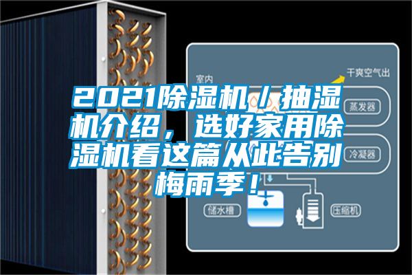 2021除濕機／抽濕機介紹，選好家用除濕機看這篇從此告別梅雨季！