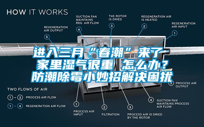 進入三月“春潮”來了 家里濕氣很重 怎么辦？防潮除霉小妙招解決困擾